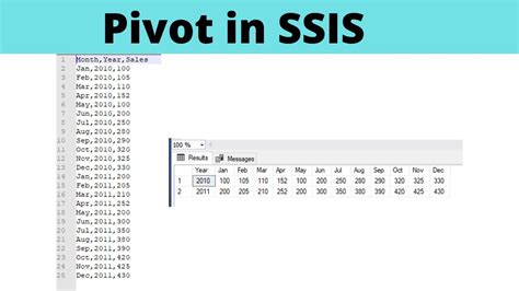 [Reducing Mosaic]SSIS